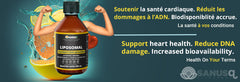 Liposomal Vitamin C with Glutathione by SANUSq Health