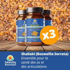 Shallaki (Boswellia Serrata) - Bone and Joint Health bundle