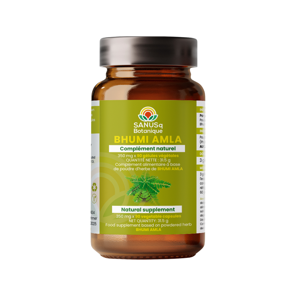 Phyllanthus niruri capsules