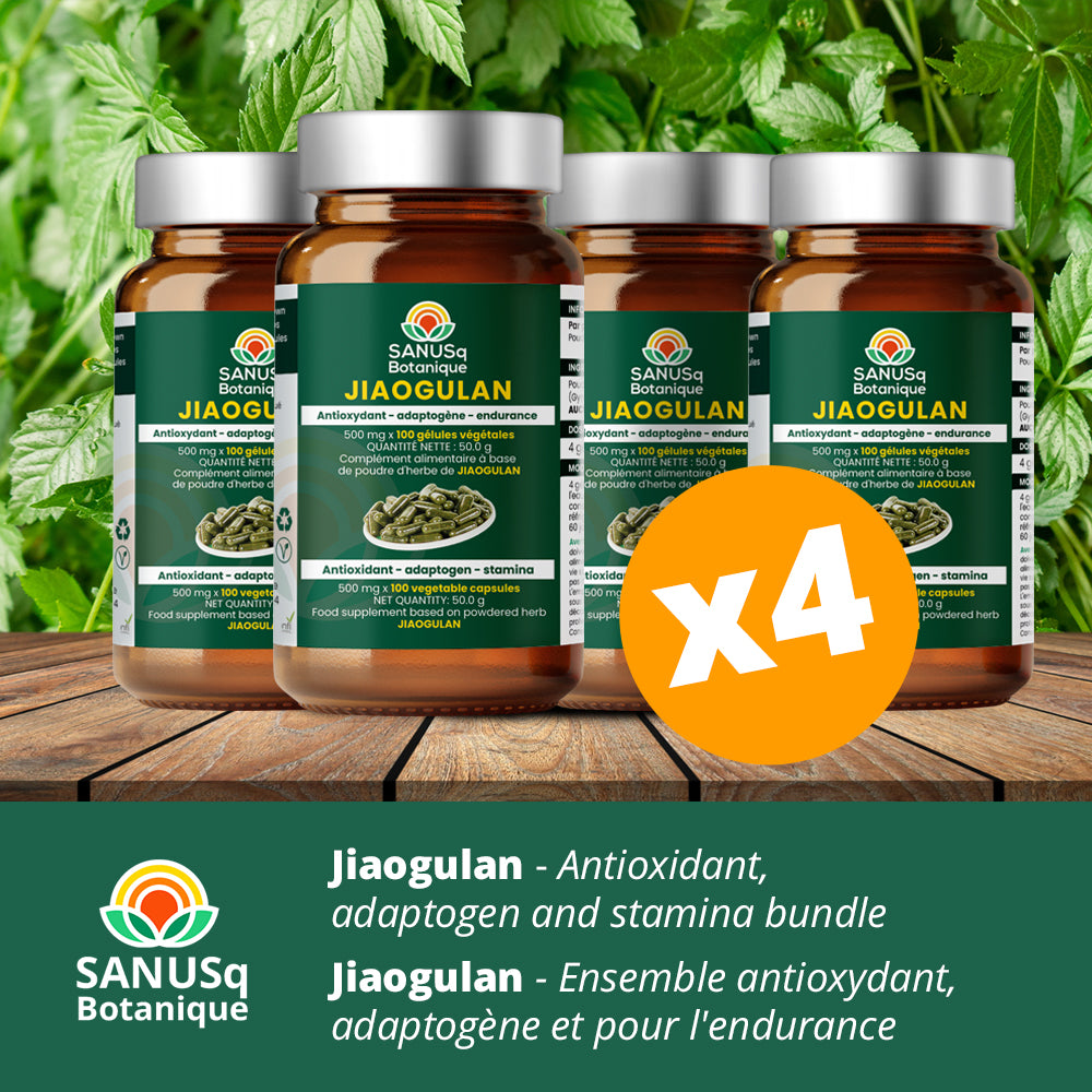 Jiaogulan - Antioxidant, adaptogen and stamina bundle